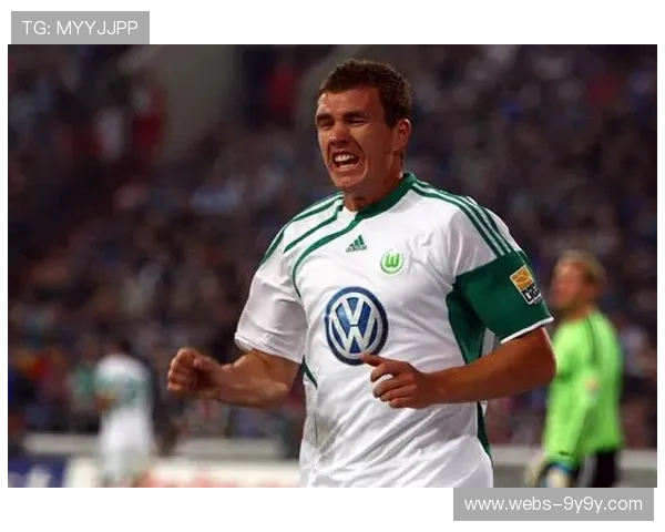 沙尔克04冲甲希望：哲科经验助力